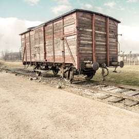 Cracovie : Visite guidée d'Auschwitz-Birkenau et de la mine de sel