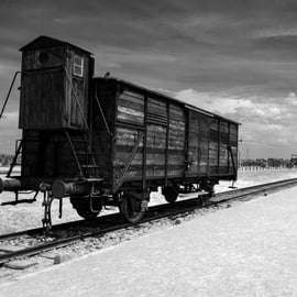Depuis Cracovie : visite guidée d'Auschwitz-Birkenau et prise en charge à l'hôtel